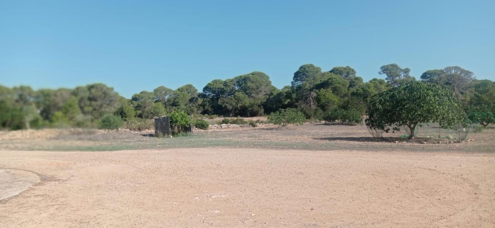 Estudio Cala Saona Exteriör bild